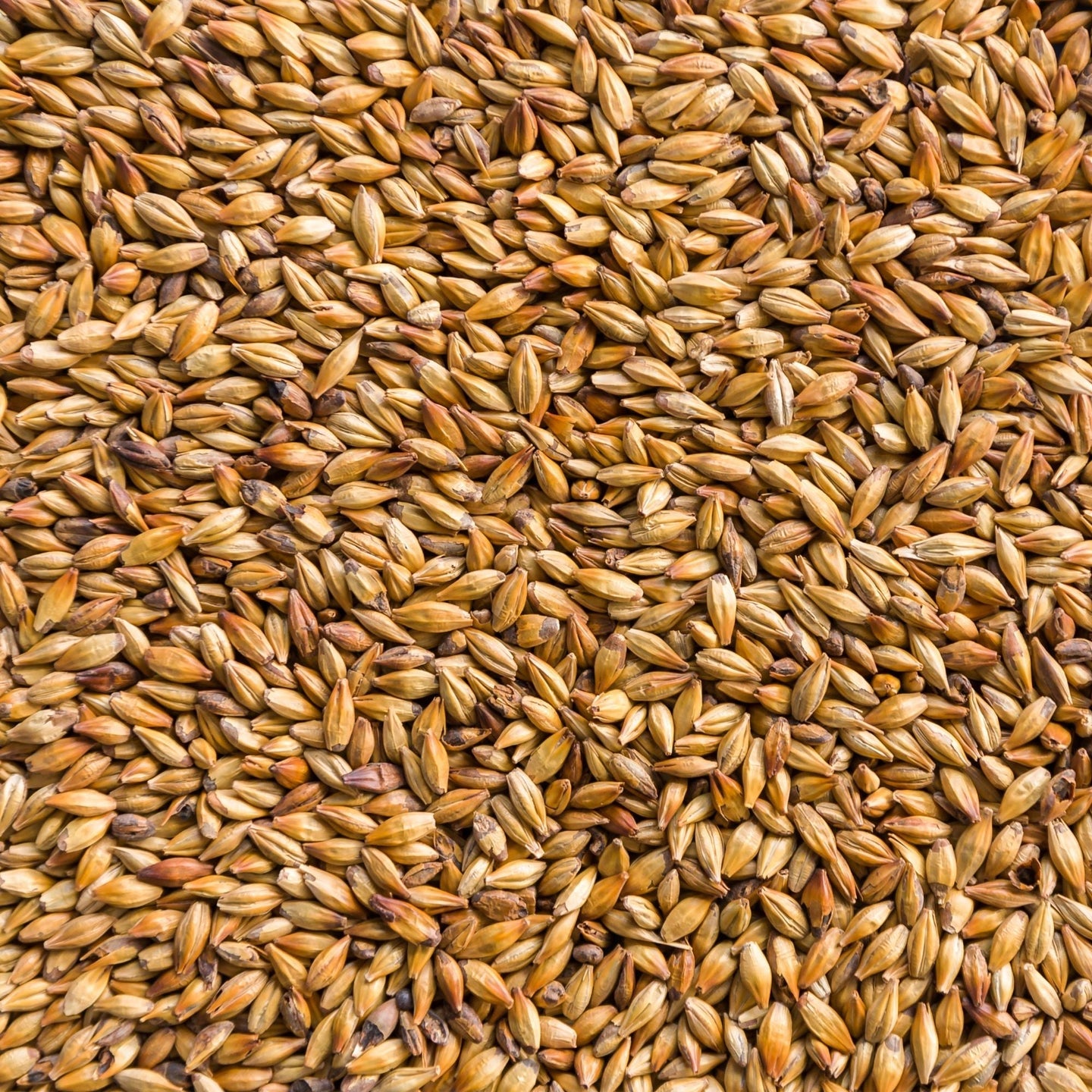 Make All-Grain Brewing Easy with MYO Drinks