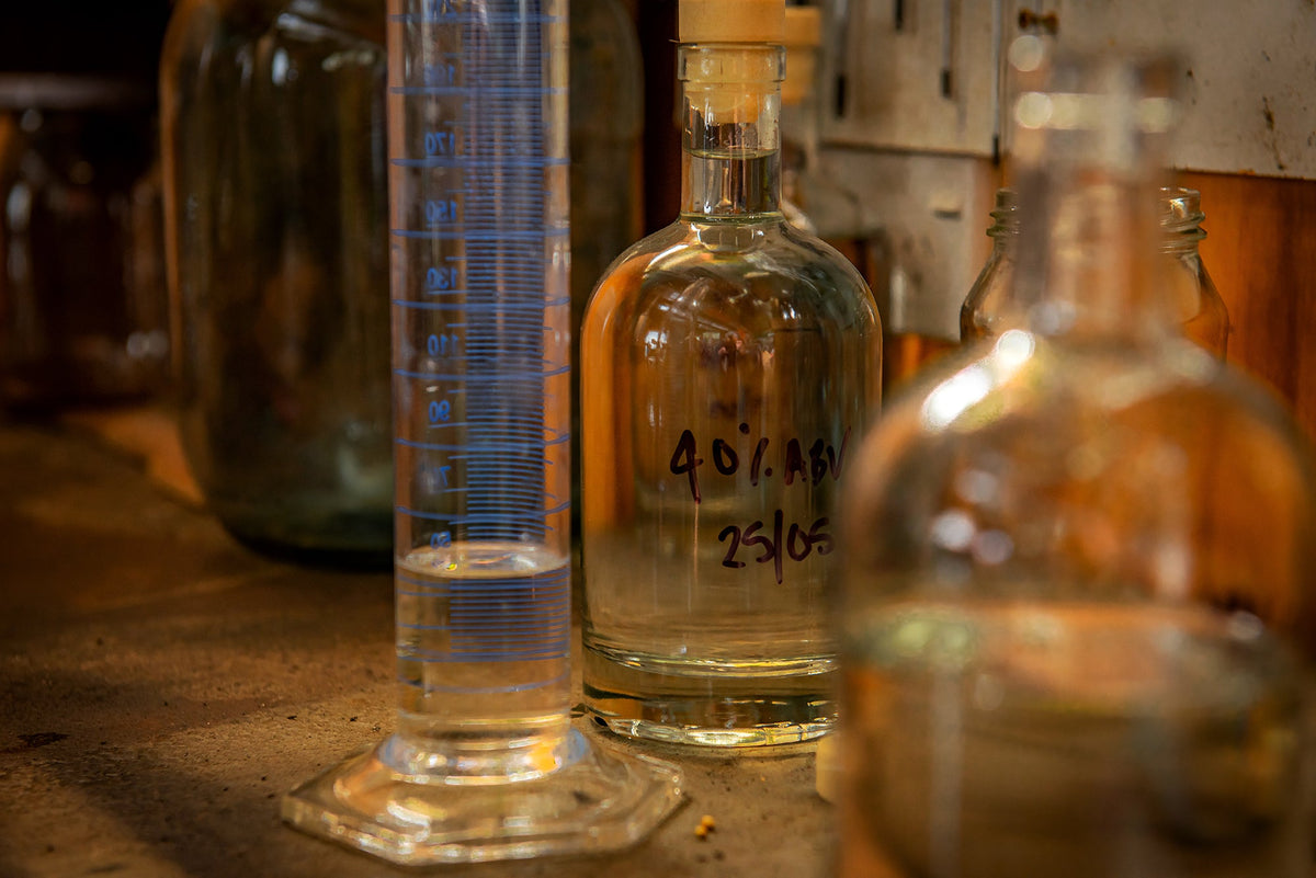 Exploring botanicals and how they shape your Gin. Australian &amp; New Zealand Edition.