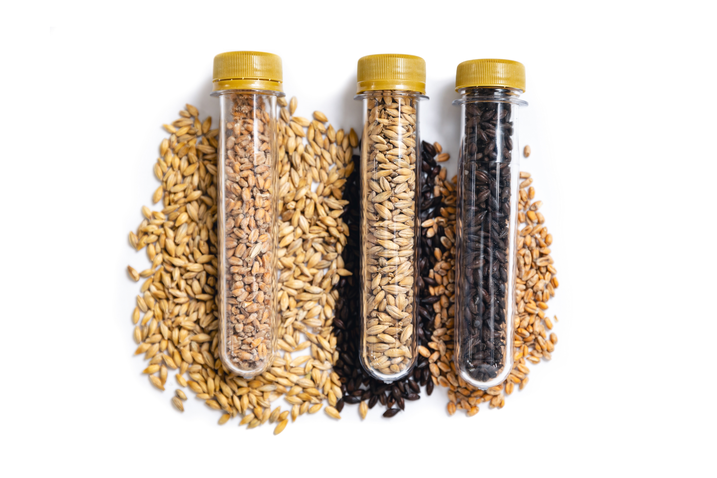 Ingredient Integrity: Maximising Freshness
