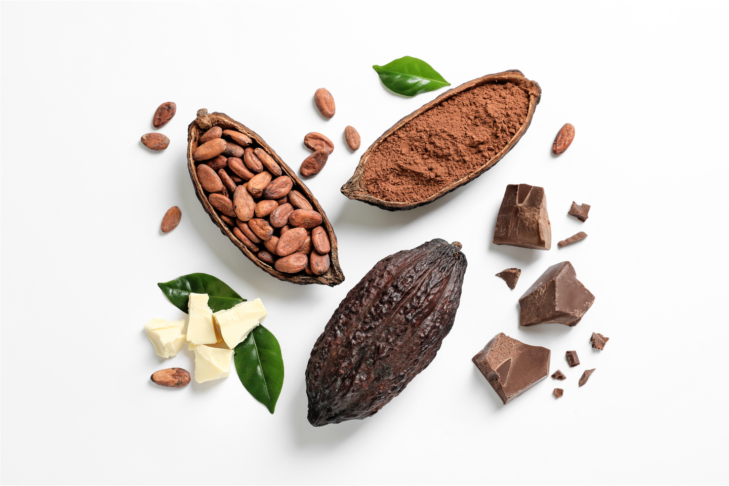 The Science of Cacao Infusion: Chocolate Beer Engineering