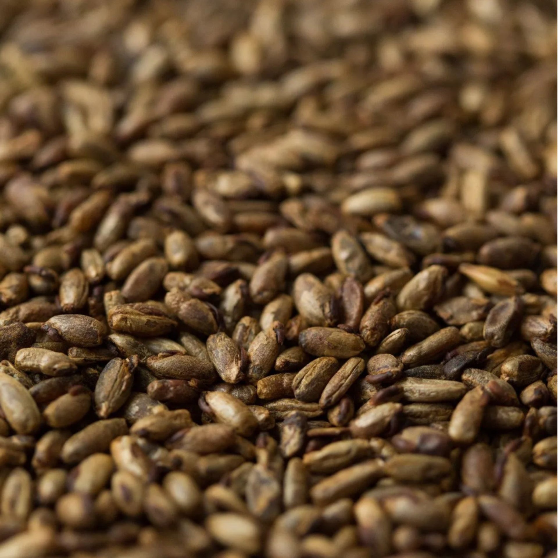 Crystal Rye Malt (Gladfield)