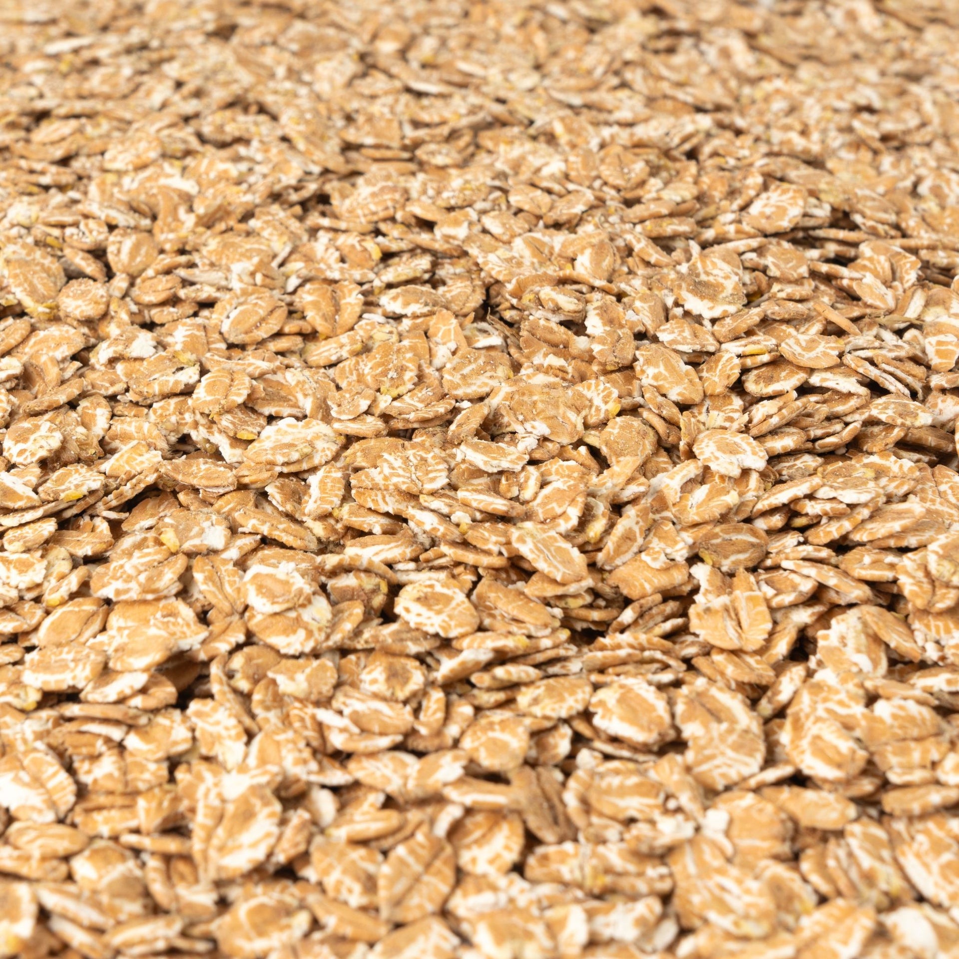 Flaked Wheat (BLM) (Gladfield)
