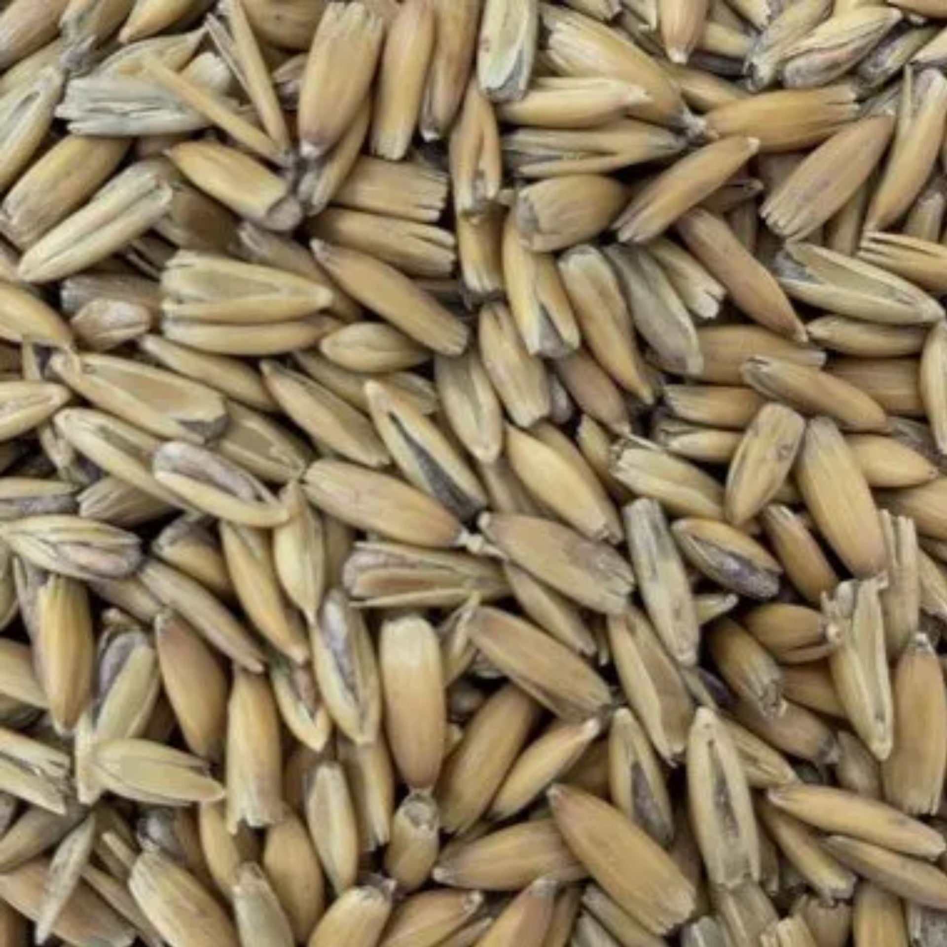 Golden Oat Malt (Gladfield)