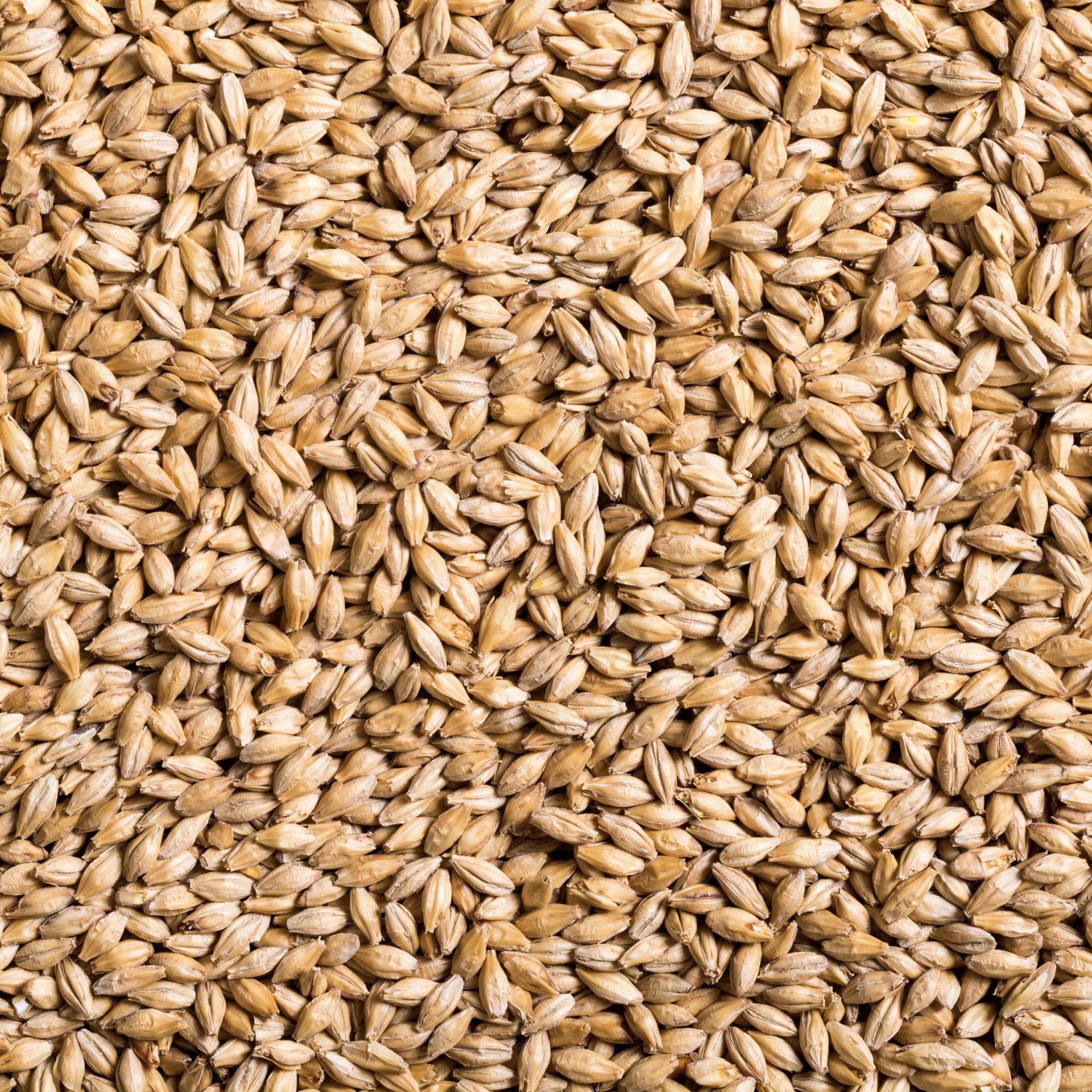 Manuka Smoked Malt (Gladfield)