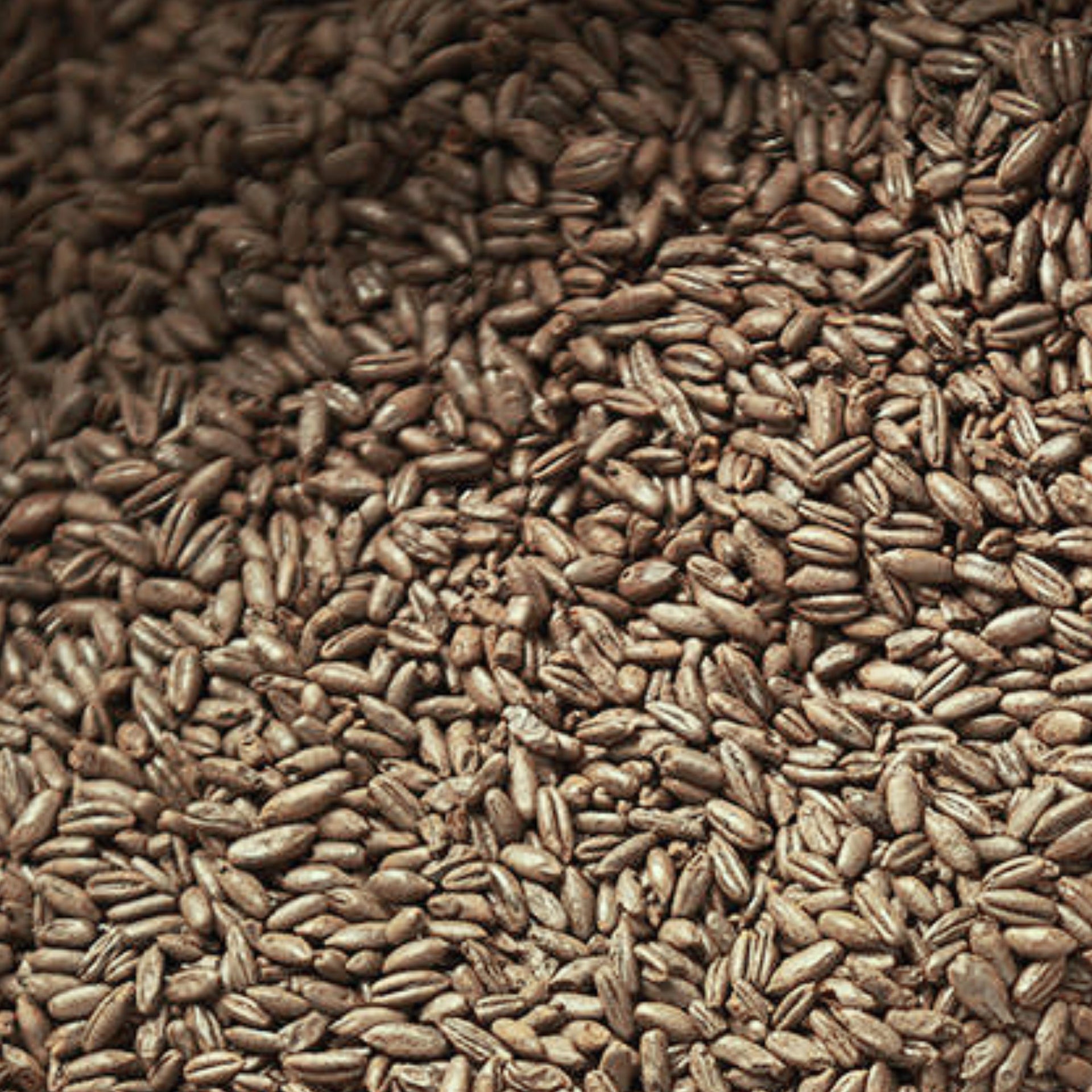 Rye Malt (Gladfield)